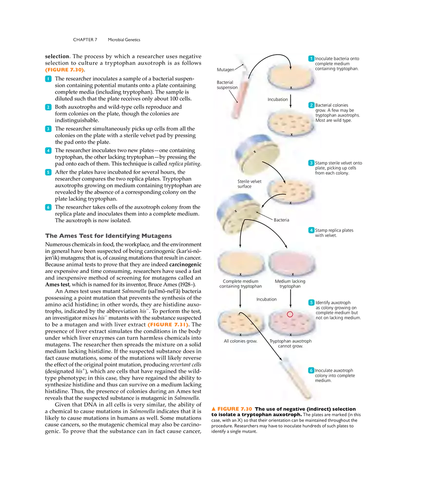 Microbial Genetics - Page 23