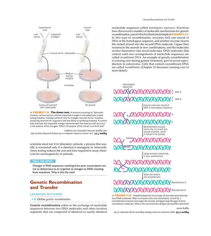 Microbial Genetics - Page 25