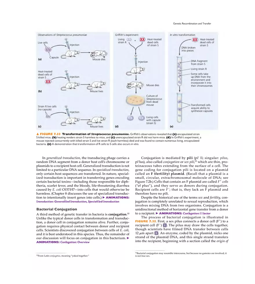 Microbial Genetics - Page 27