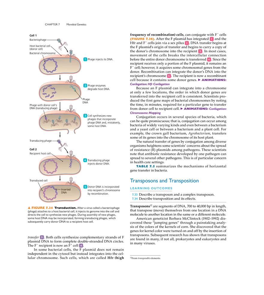 Microbial Genetics - Page 28