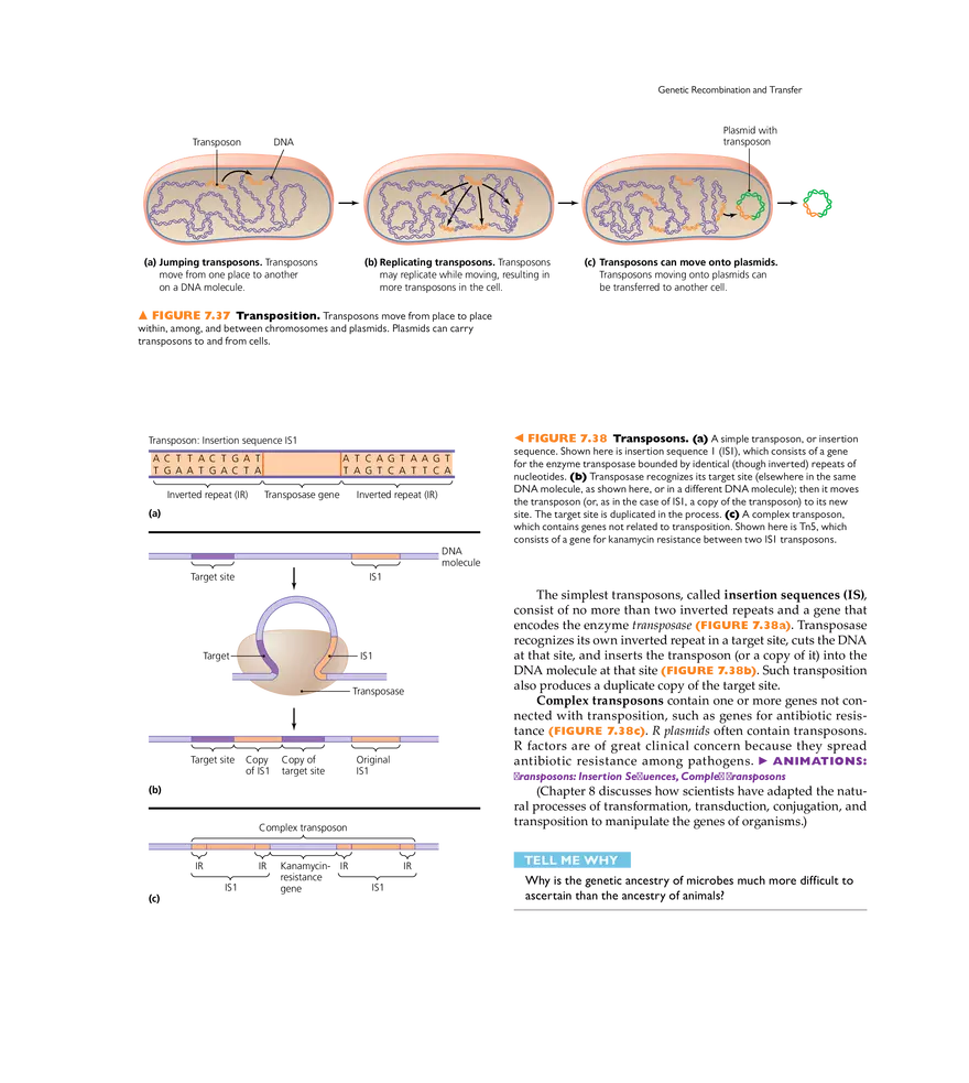 Microbial Genetics - Page 31
