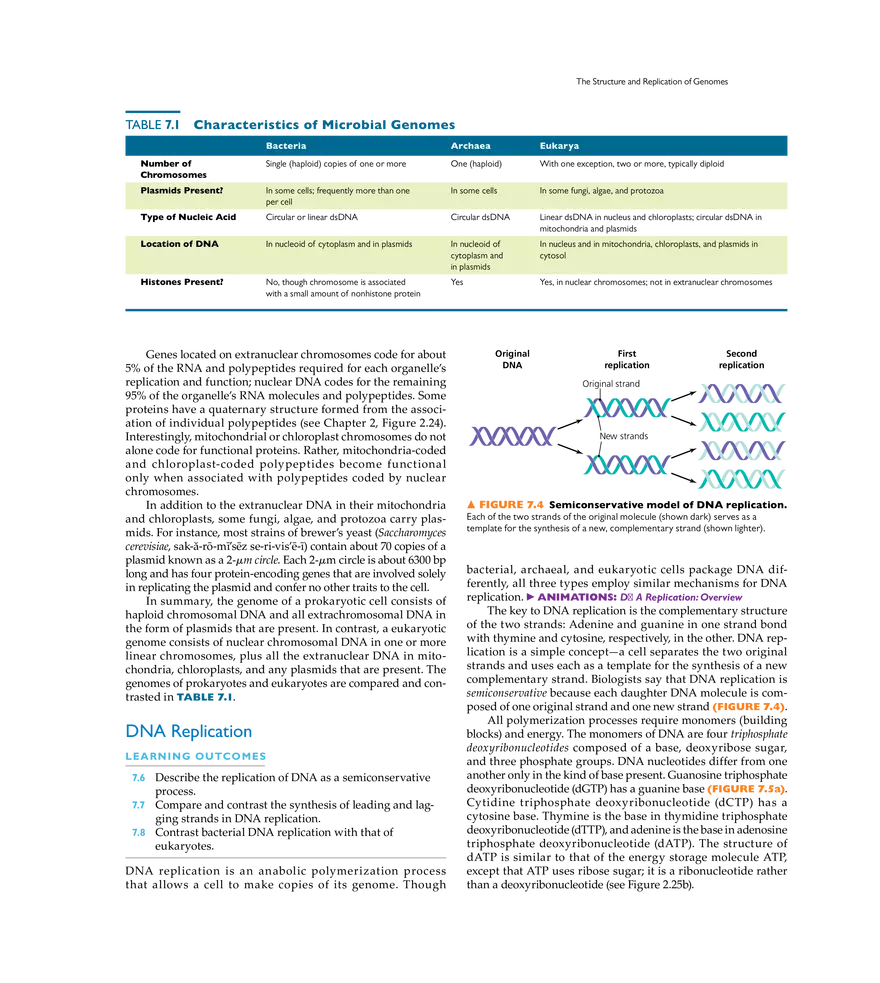 Microbial Genetics - Page 35
