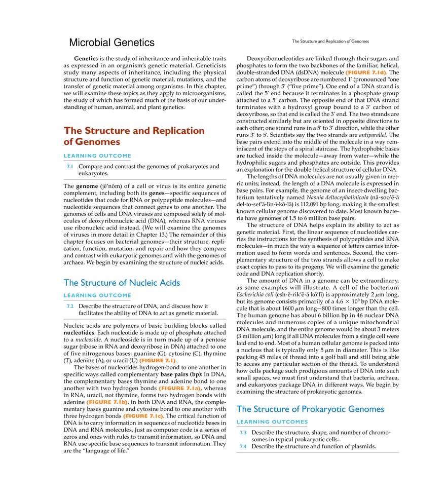 Microbial Genetics - Page 1
