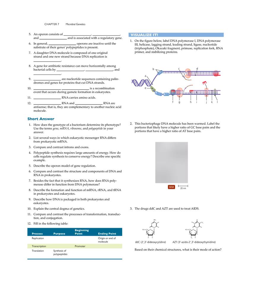 Microbial Genetics - Page 37