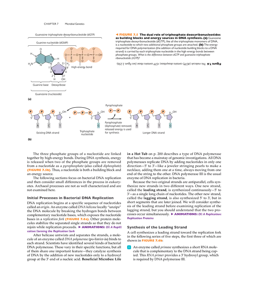 Microbial Genetics - Page 40