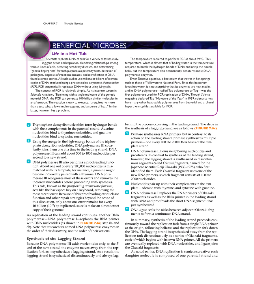 Microbial Genetics - Page 42