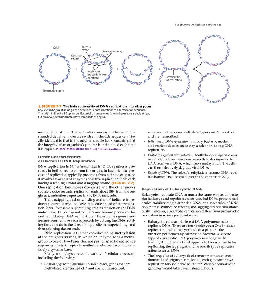 Microbial Genetics - Page 43