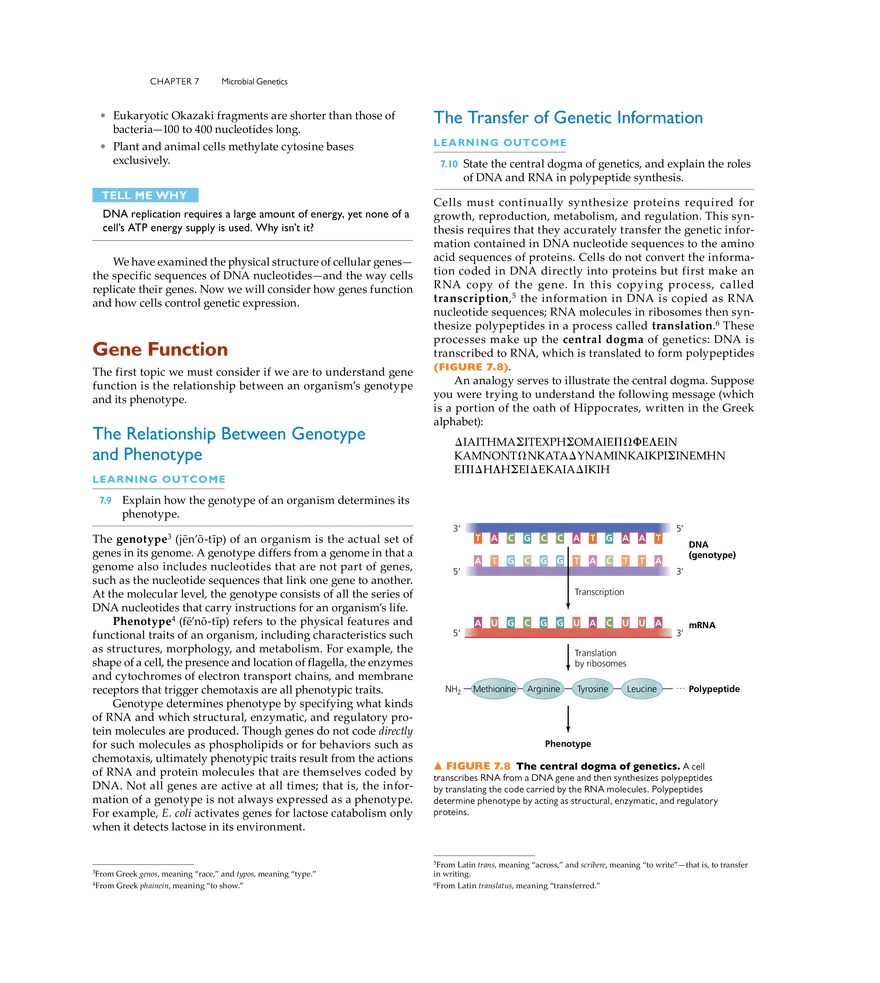 Microbial Genetics - Page 44