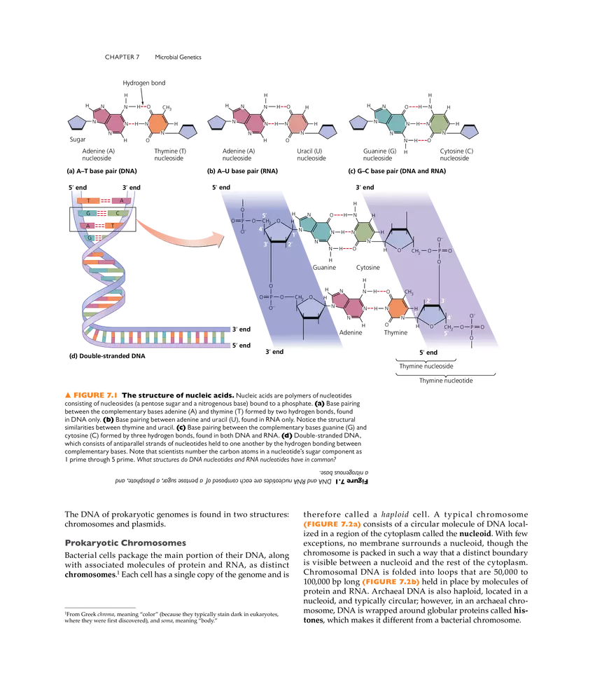 Microbial Genetics - Page 2