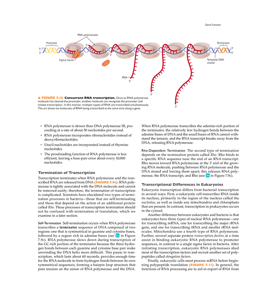 Microbial Genetics - Page 5