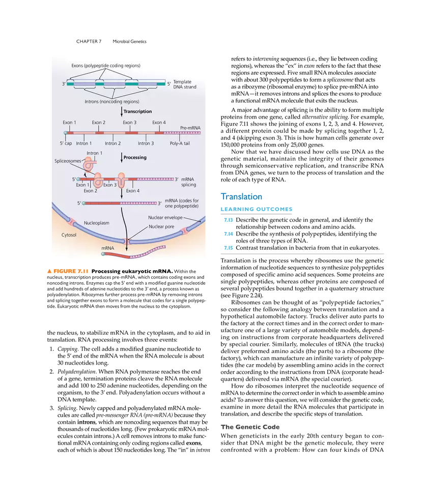 Microbial Genetics - Page 6