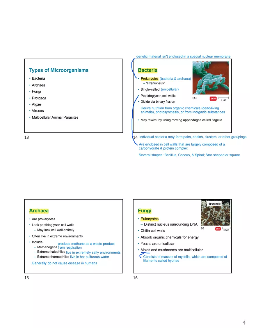 Chapter 1 The Microbial World and You - Page 4