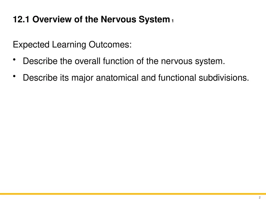12.1 Overview of the Nervous System - Page 1