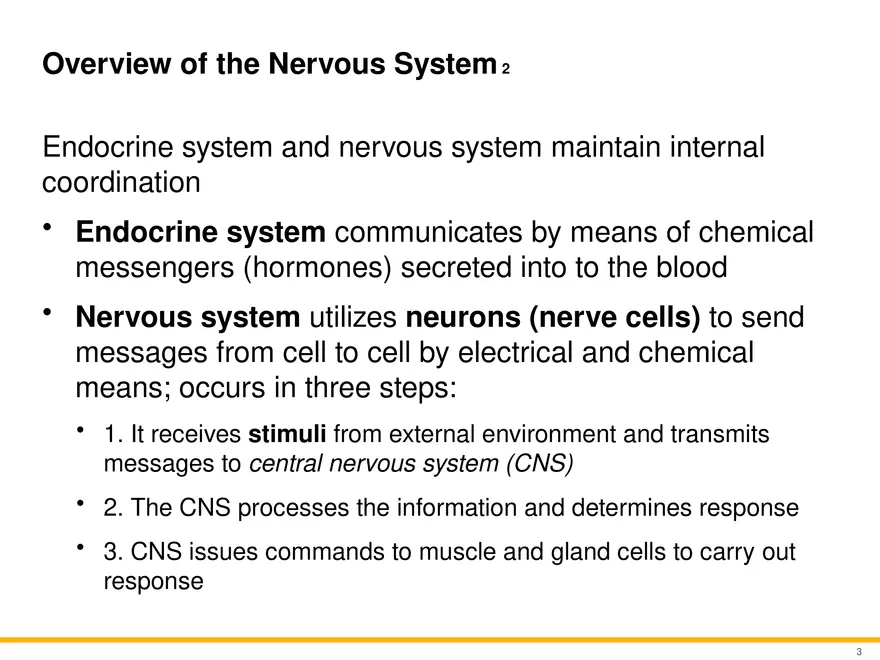 12.1 Overview of the Nervous System - Page 2