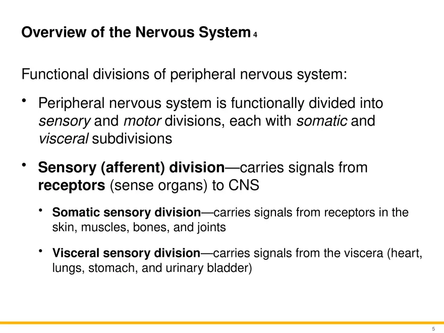 12.1 Overview of the Nervous System - Page 4