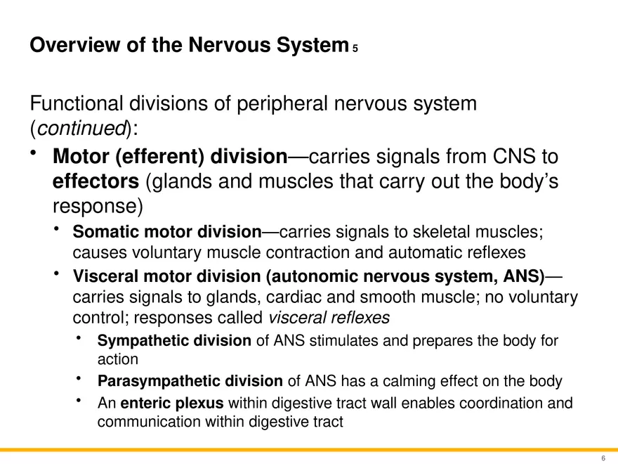 12.1 Overview of the Nervous System - Page 5