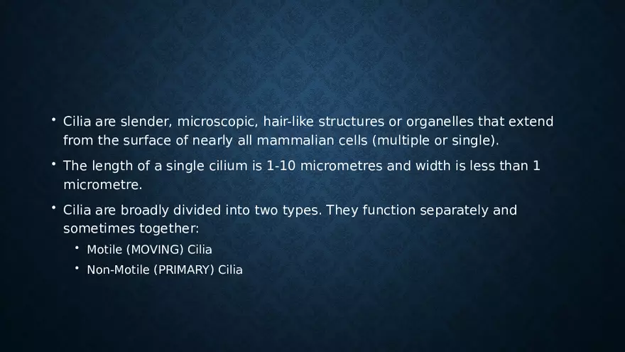 Aerosol and Humidity Therapy - Page 24