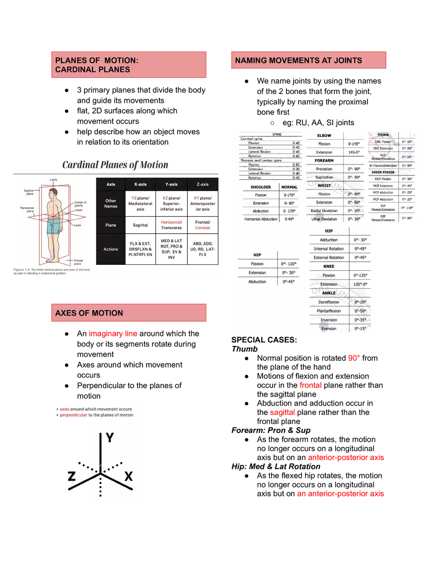I. Basic Concepts in Kinesiology. Kinematics - Page 2
