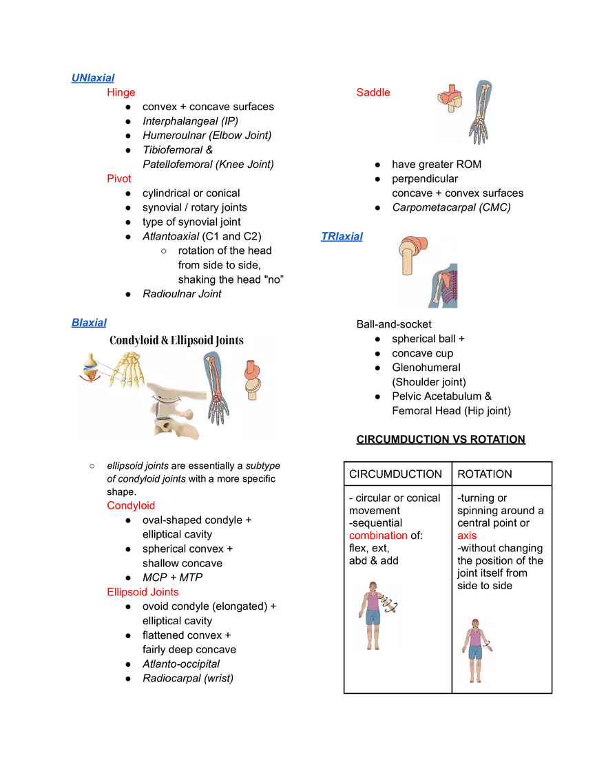 I. Basic Concepts in Kinesiology. Kinematics - Page 4
