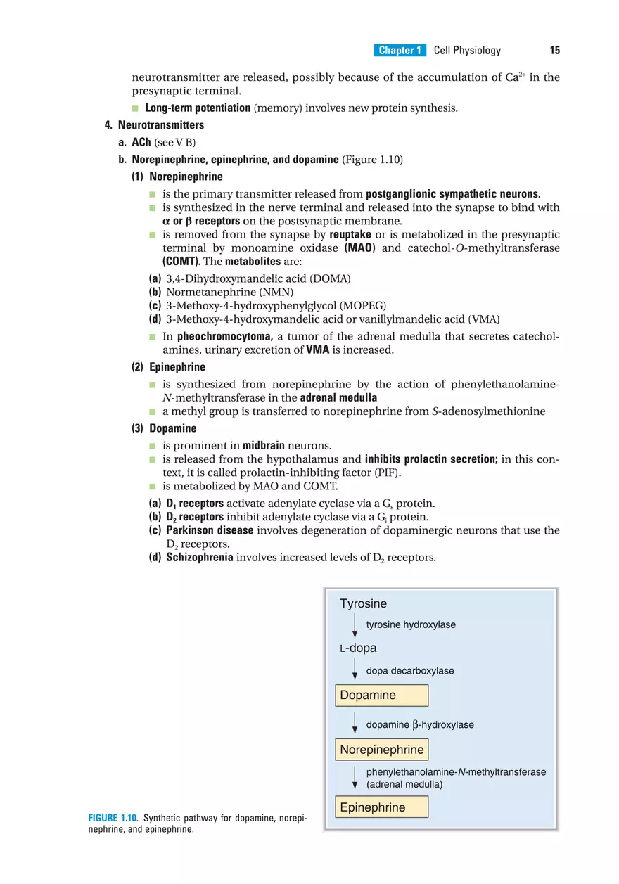 Chapter 1l Cell Physiology - Page 2