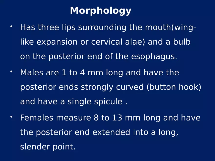Enterobius Vermicularis - Page 15