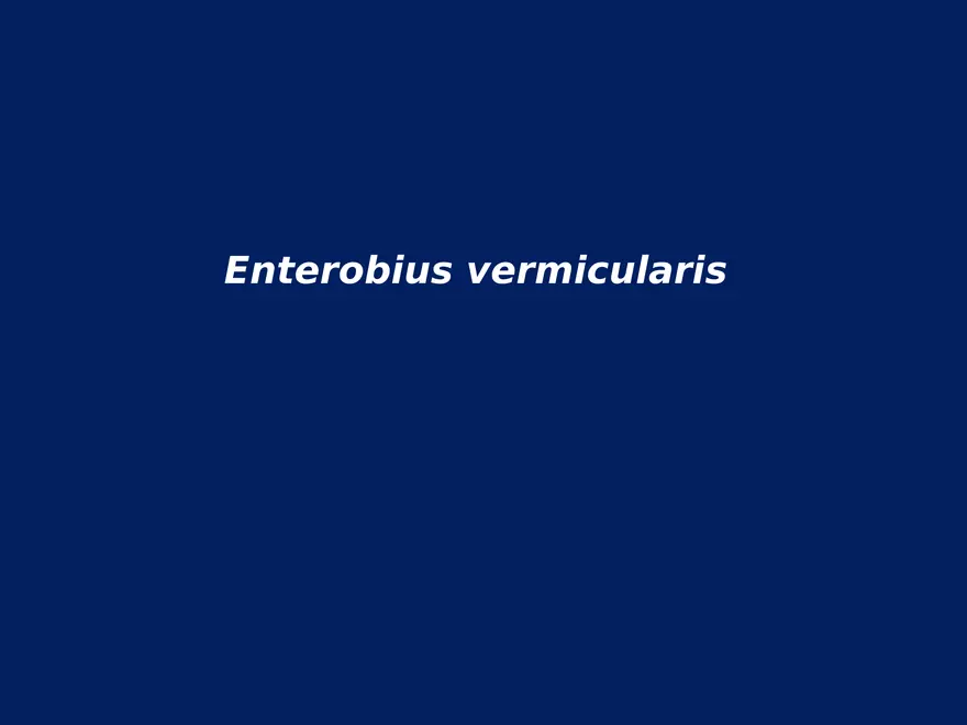 Enterobius Vermicularis - Page 1