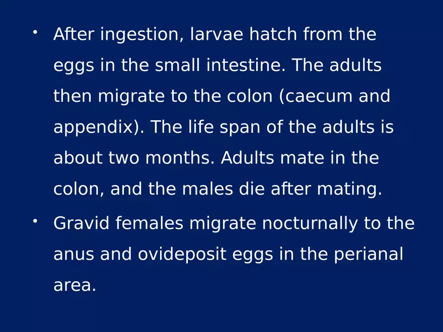 Enterobius Vermicularis - Page 4
