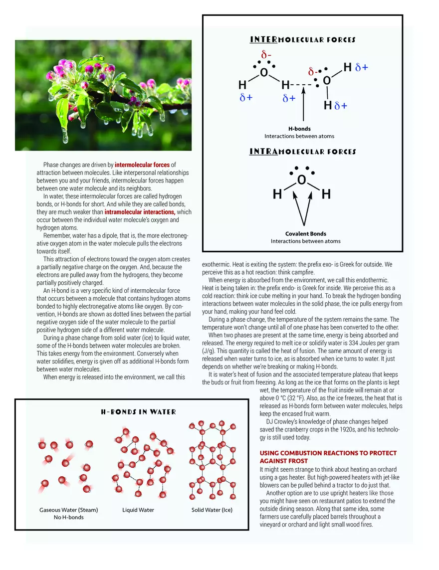 Fghting Frost with Ice - Page 2