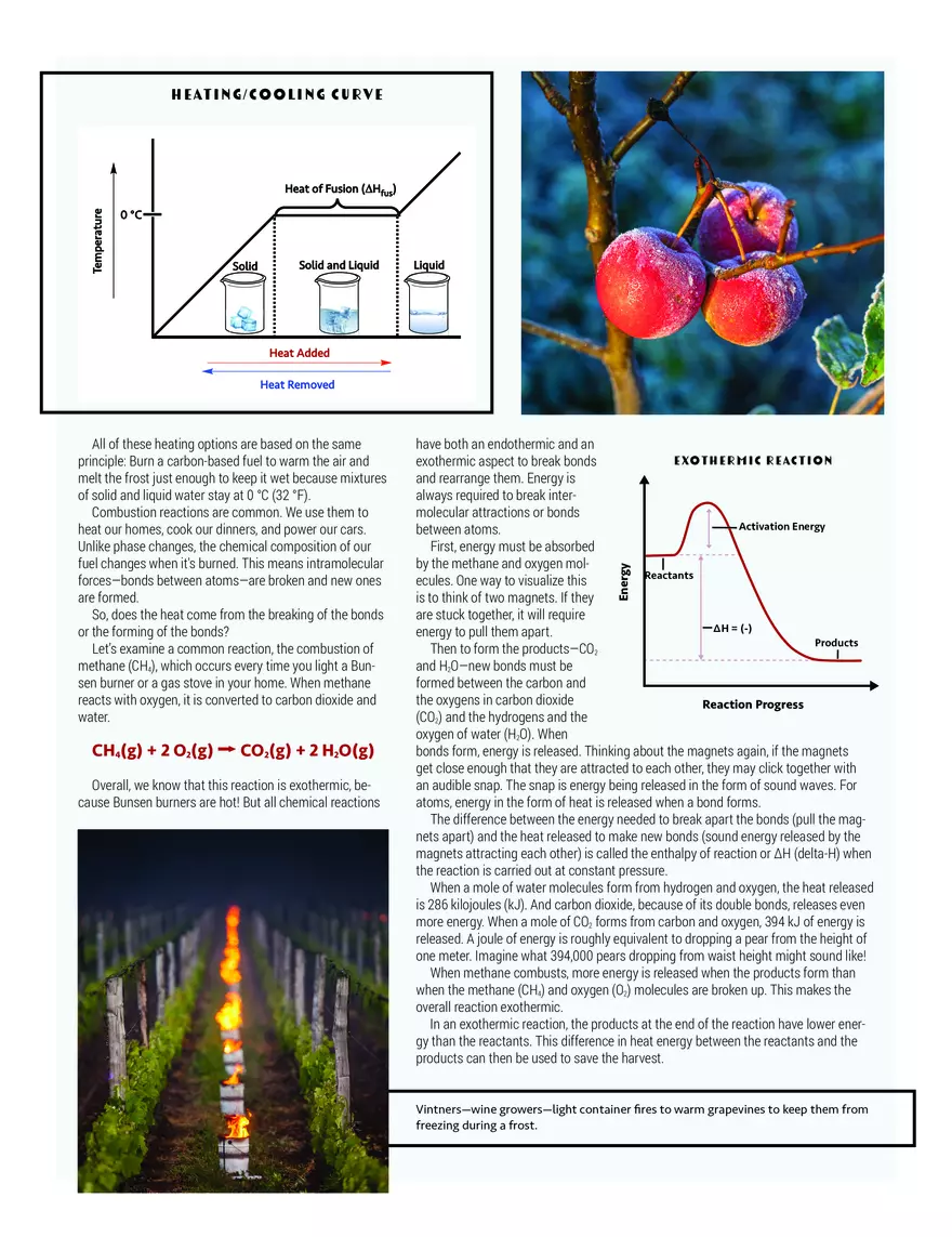 Fghting Frost with Ice - Page 3