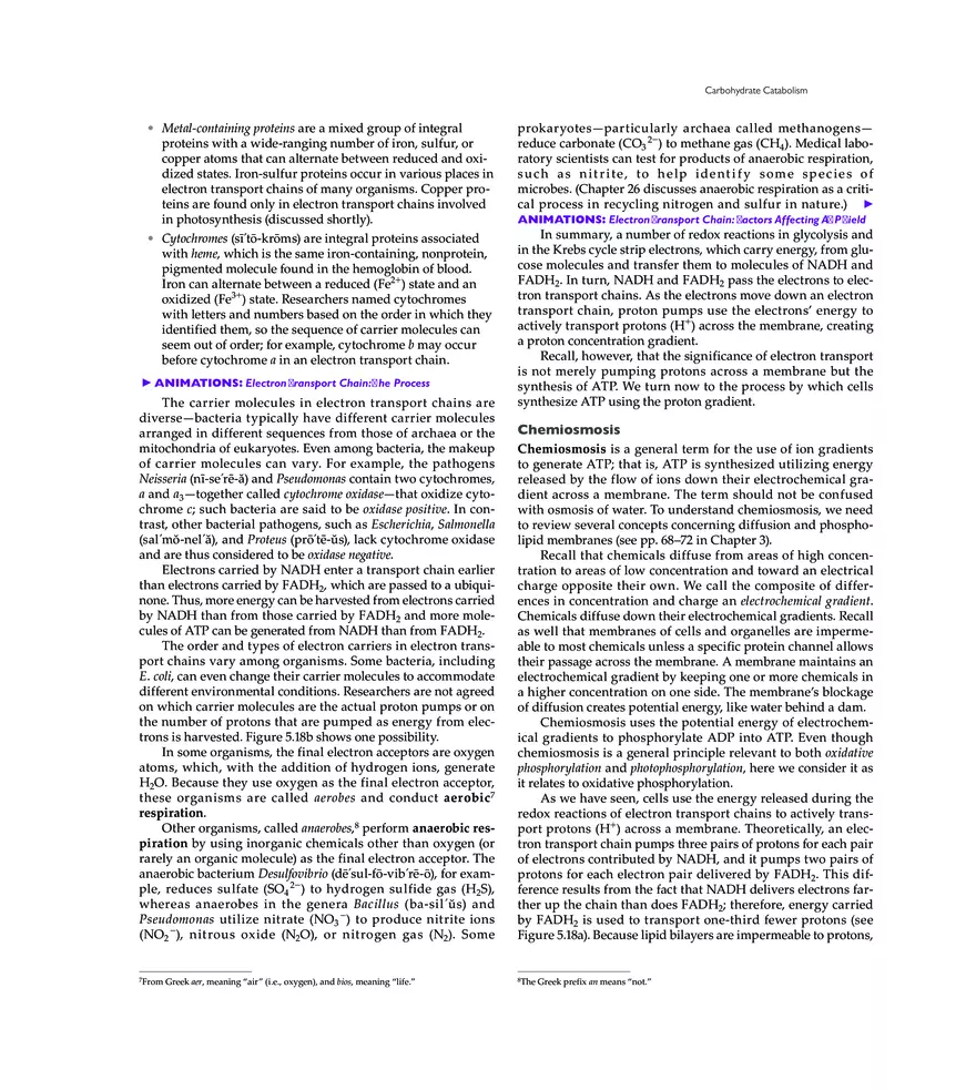 Microbial Metabolism - Page 7