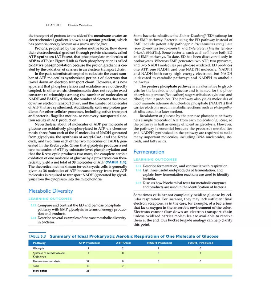 Microbial Metabolism - Page 8