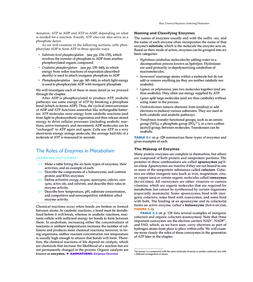 Microbial Metabolism - Page 13