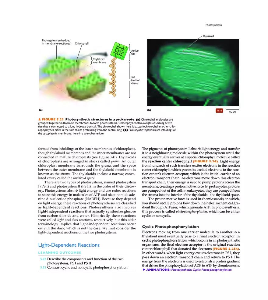Microbial Metabolism - Page 14