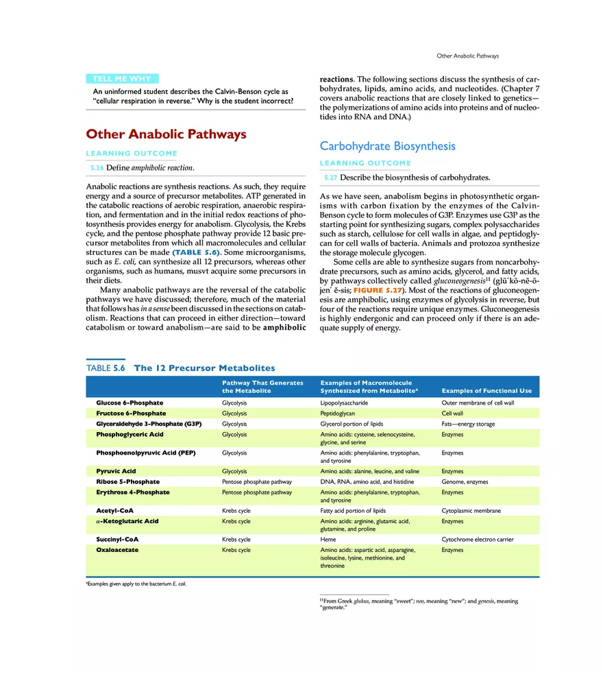 Microbial Metabolism - Page 18