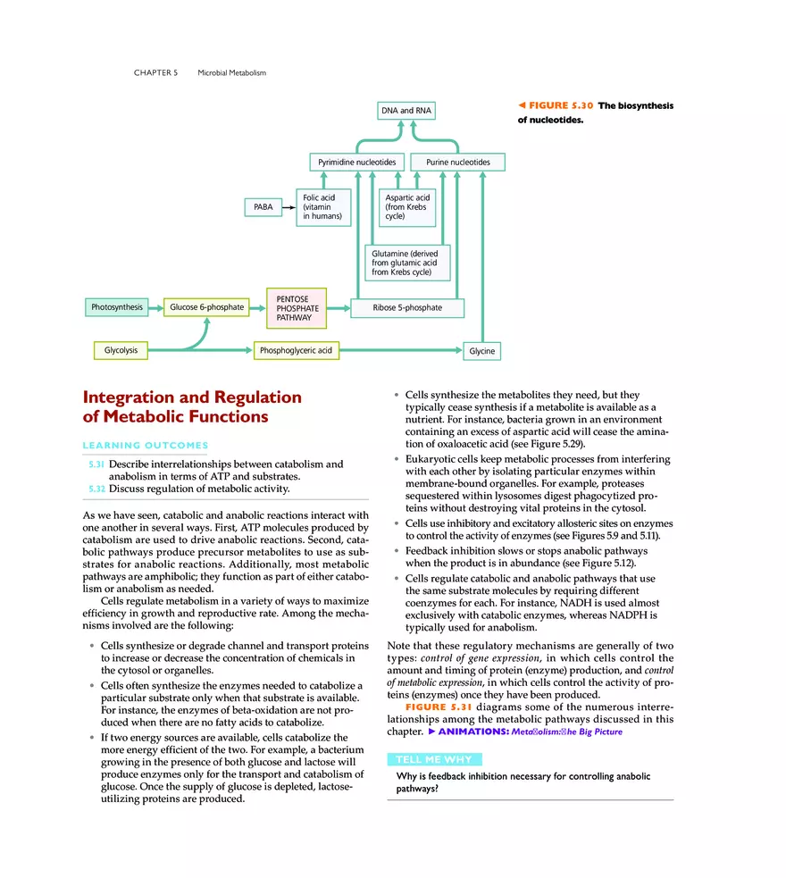 Microbial Metabolism - Page 21