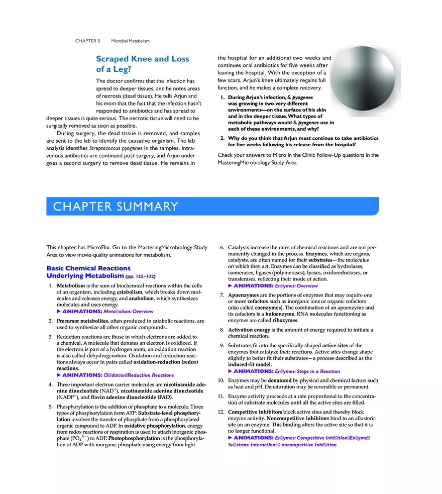 Microbial Metabolism - Page 23