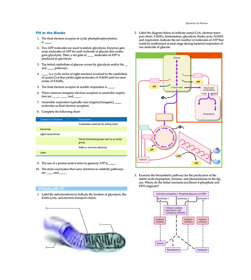 Microbial Metabolism - Page 27