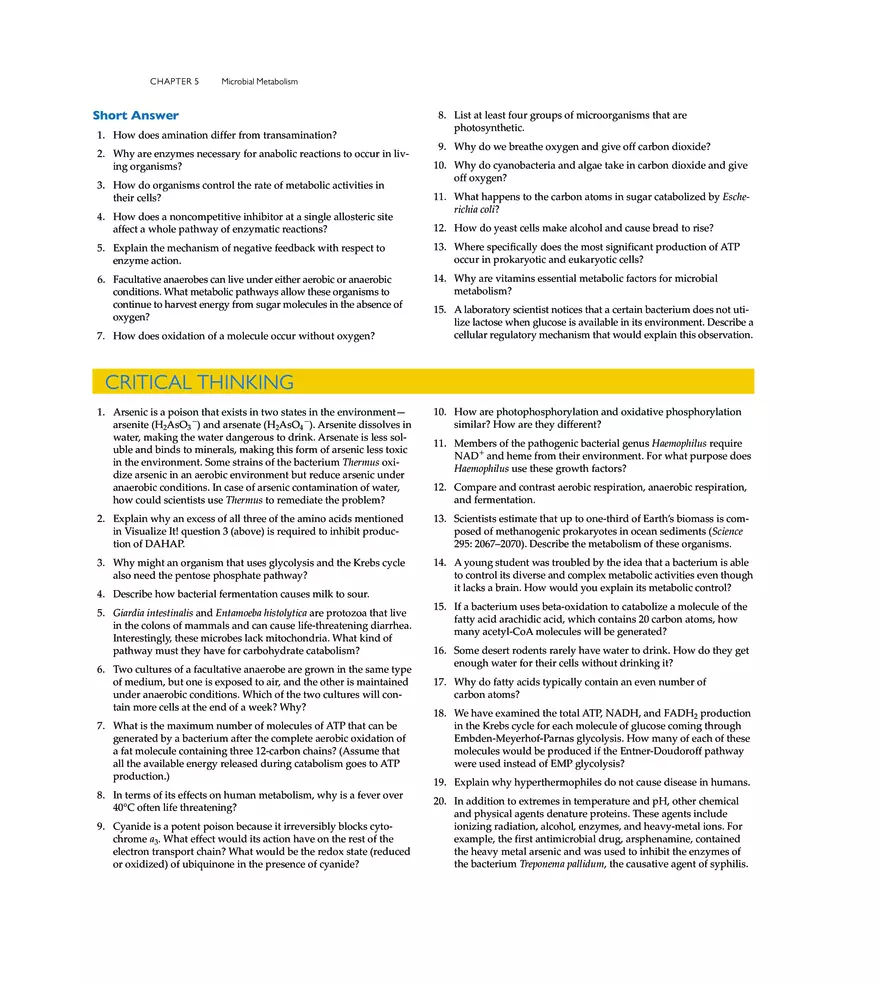 Microbial Metabolism - Page 28