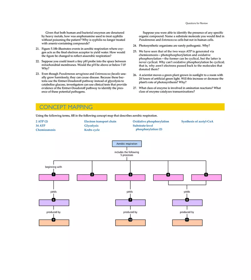 Microbial Metabolism - Page 29