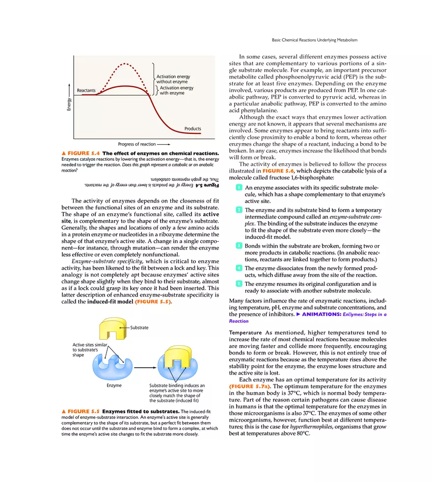 Microbial Metabolism - Page 30