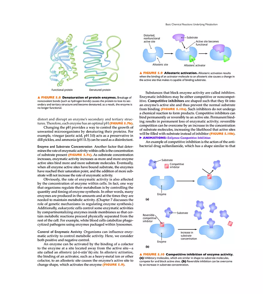 Microbial Metabolism - Page 32