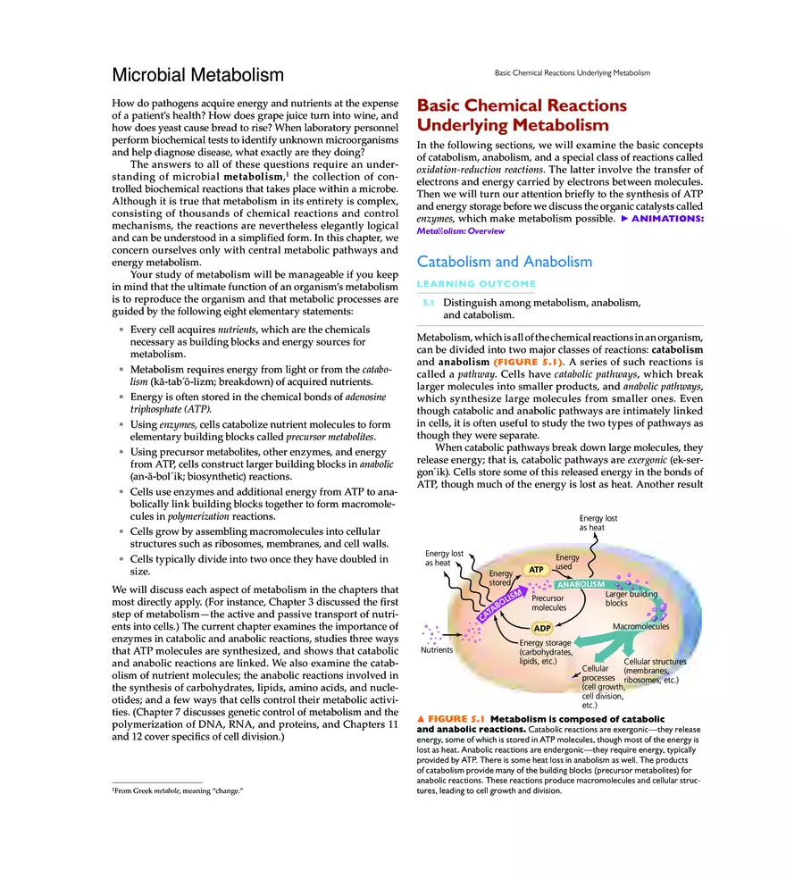 Microbial Metabolism - Page 1
