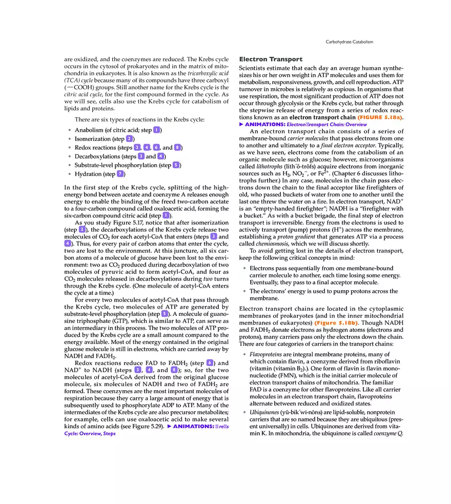 Microbial Metabolism - Page 5