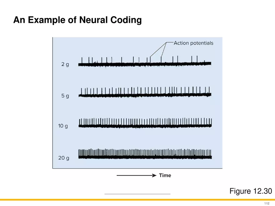12.6 Neural Integration - Page 7