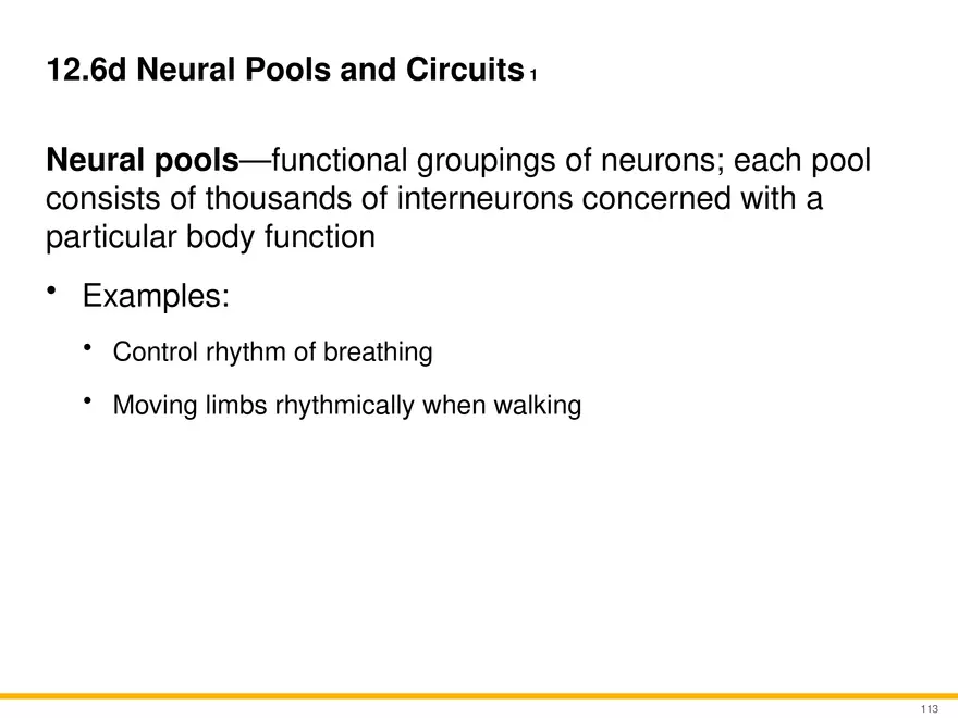 12.6 Neural Integration - Page 8