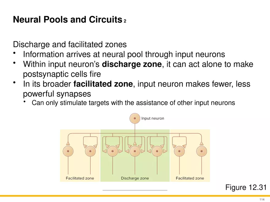 12.6 Neural Integration - Page 9