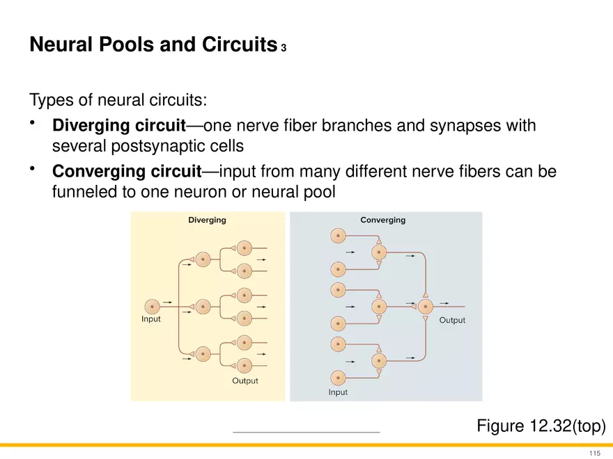 12.6 Neural Integration - Page 10
