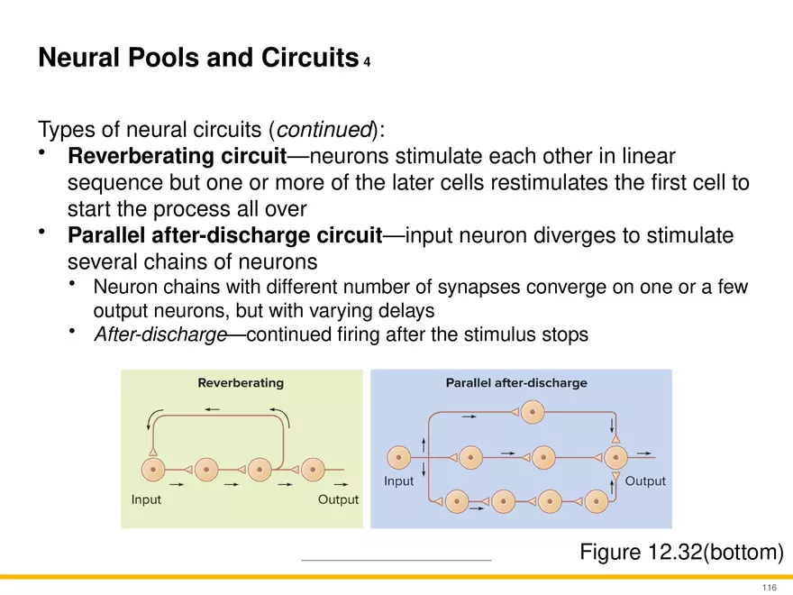 12.6 Neural Integration - Page 11