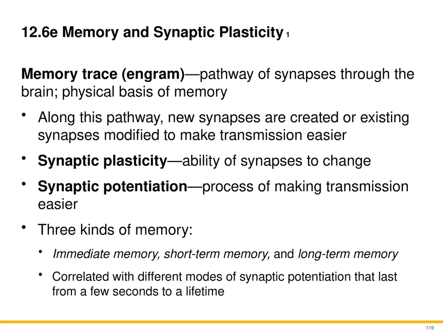 12.6 Neural Integration - Page 15