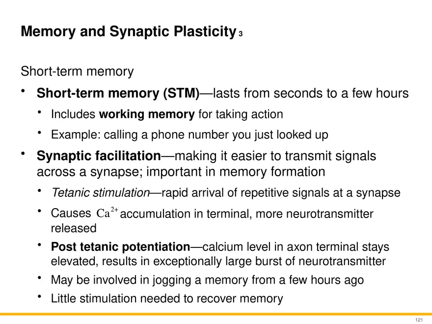 12.6 Neural Integration - Page 17